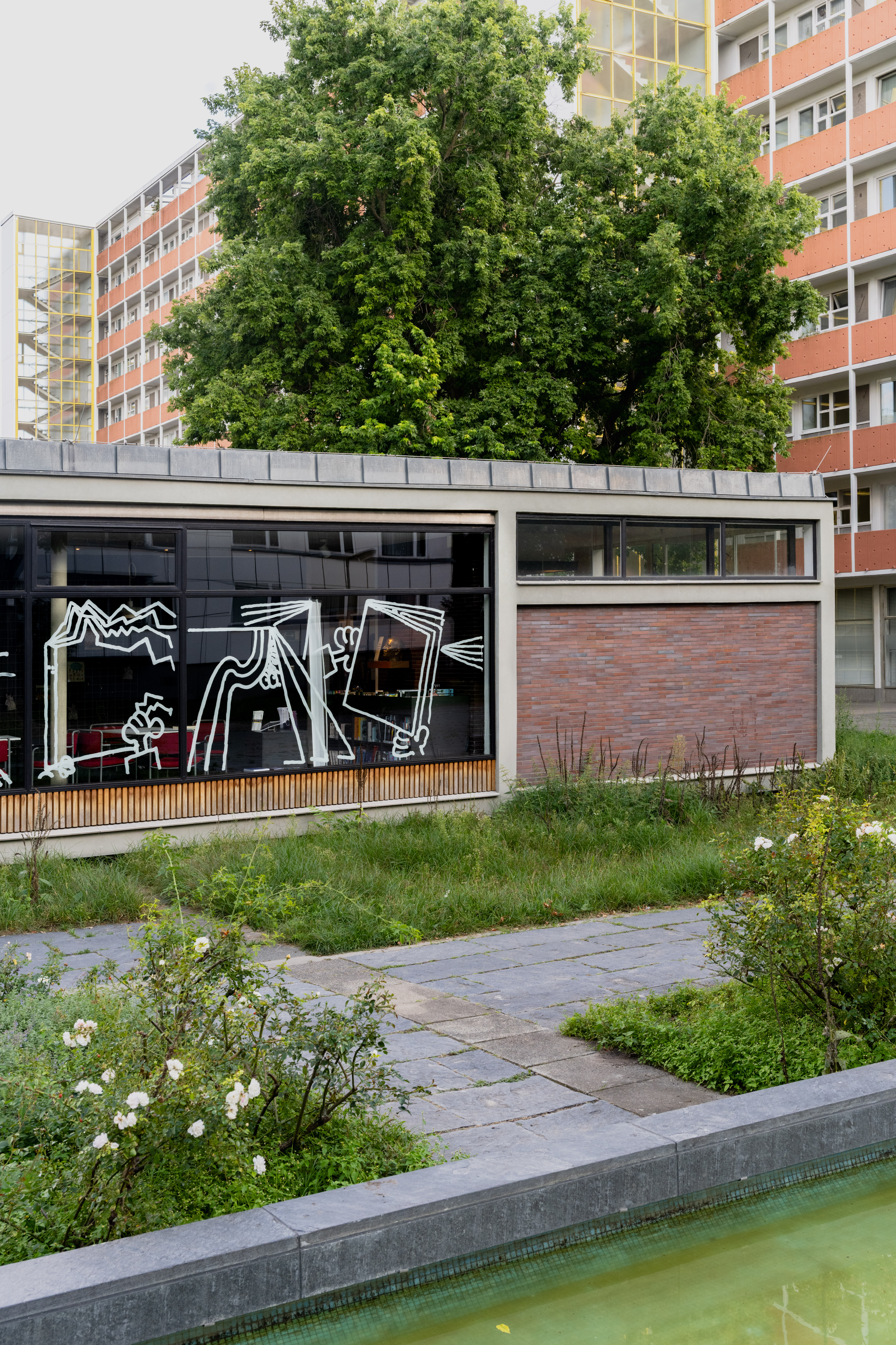 Window Drawing at Hansa Bibliothek Berlin / Grotto Books 2025, Photos by Peter Wolff