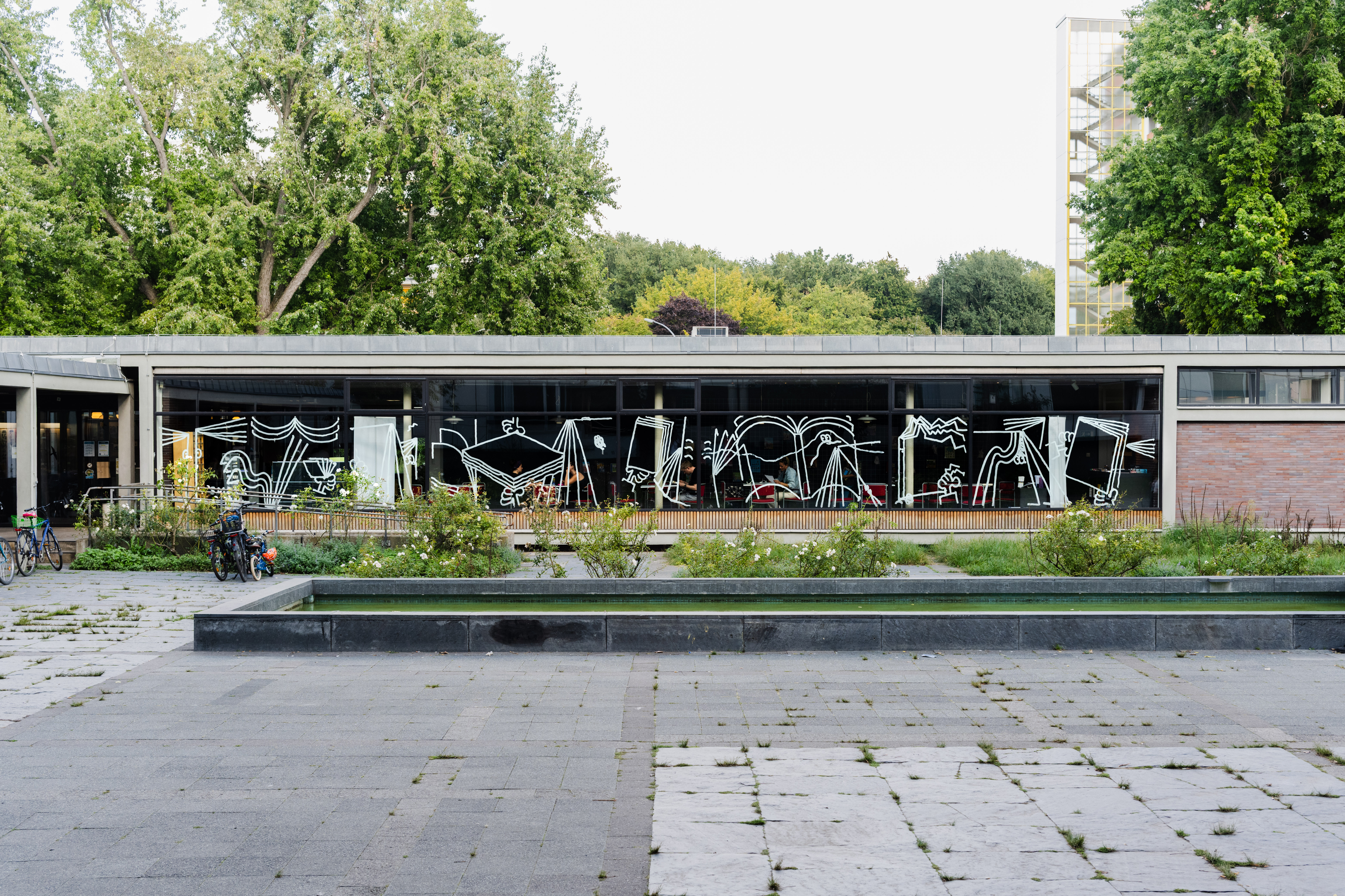 Window Drawing at Hansa Bibliothek Berlin / Grotto Books 2025, Photos by Peter Wolff